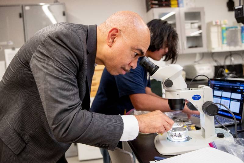 Massachusetts Life Sciences Center President and CEO Kirk Taylor looks through a microscope during a tour of Massasoit's new Science Building.