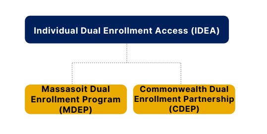 IDEA program breakdown