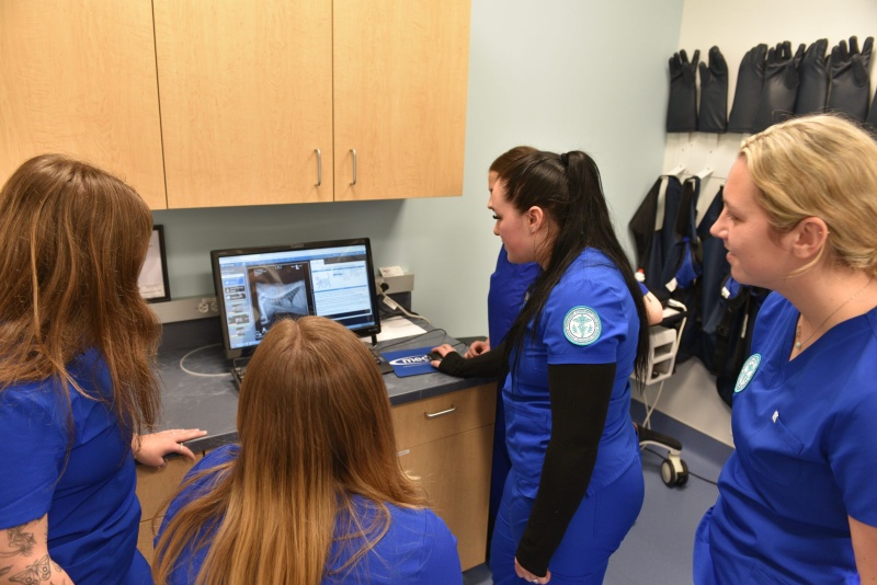 Veterinary Technology students looking at a radiograph.